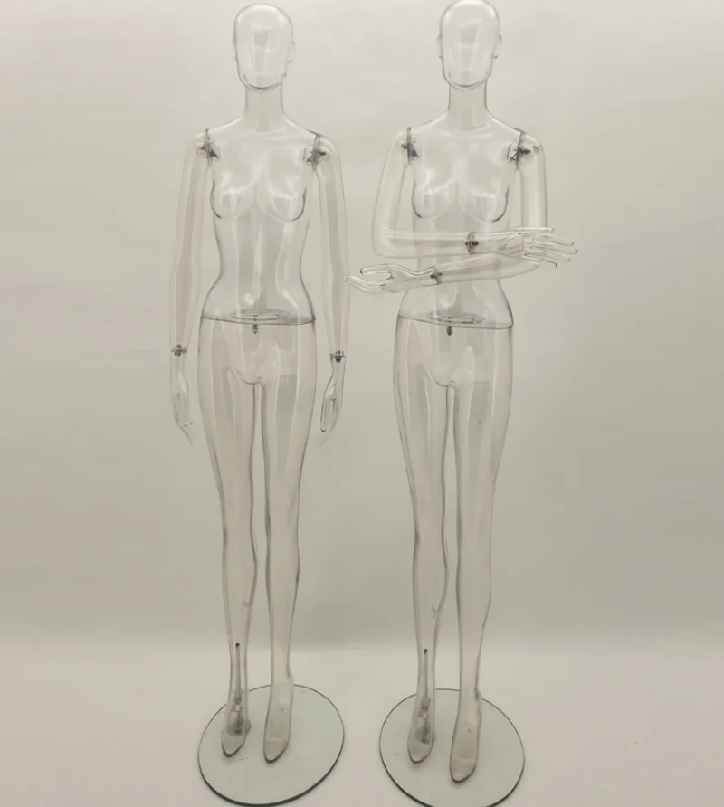 新款女款透明人体模特全身塑料直筒假人手展示 