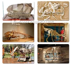 My Dino DS633, черепа тираннозавра из м/ф «Король Юрского периода» T-Rex, ископаемый
