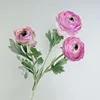 Peonía rosa fuerte