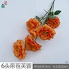 6-headed hibiscus with buds XY orange