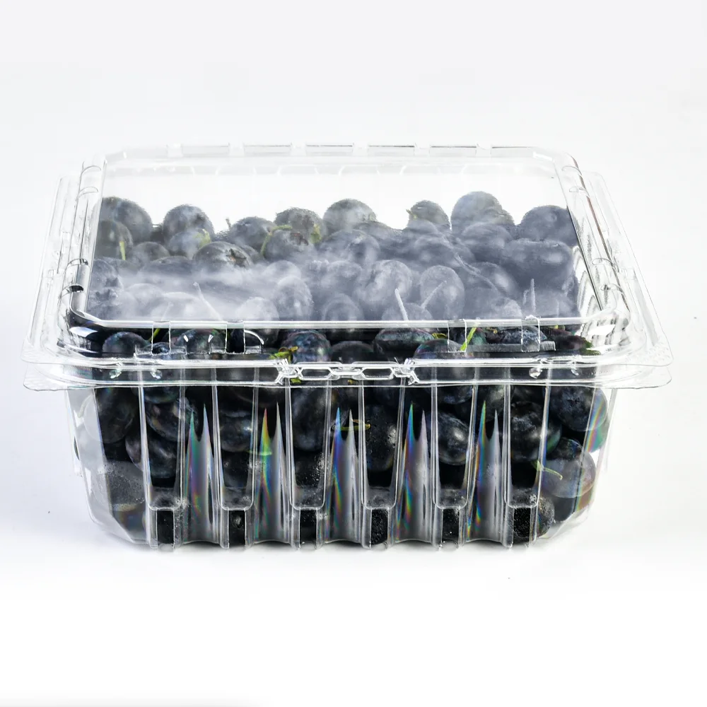 Factory 2LB Blueberry Packaging Recycled Plastic Fruit Packaging clear Box Fruit Berry Blueberry Clamshell Container with Holes