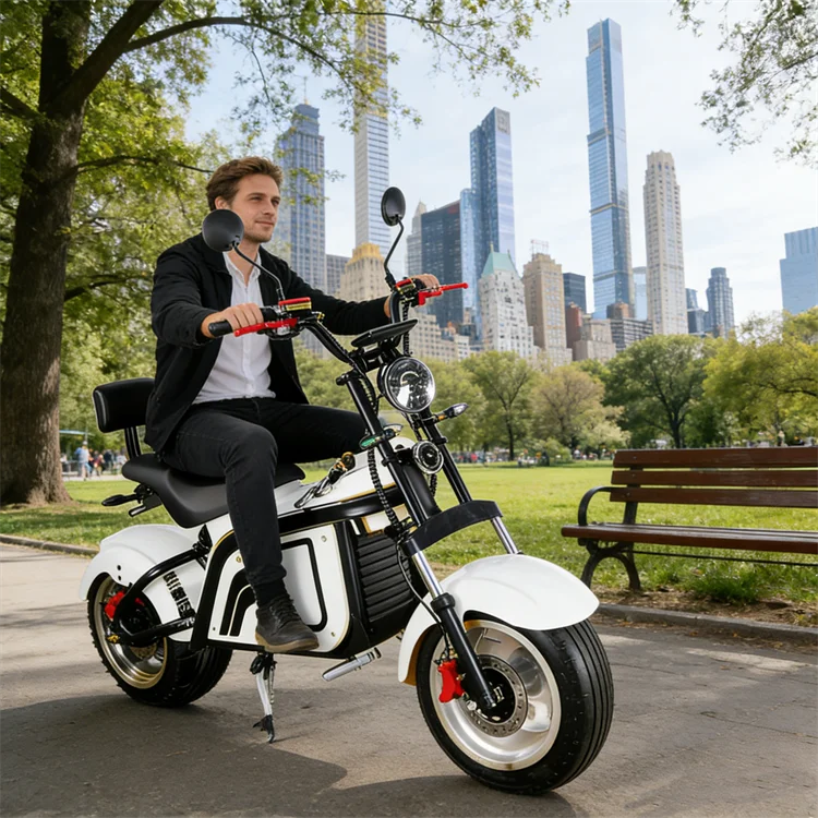 Electric Motorcycle Japan Electric Motorcycle with EEC E Scooter