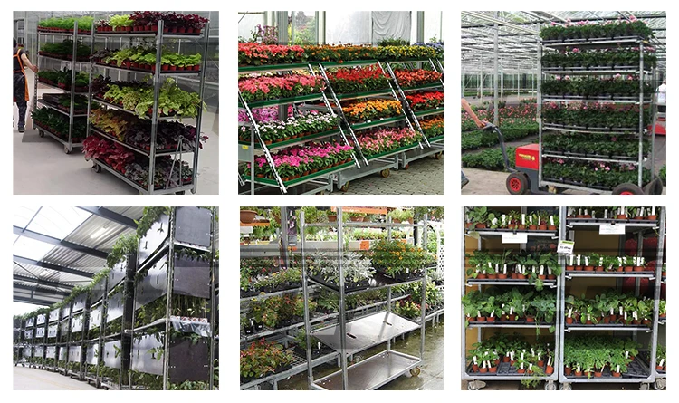 flower trolley application