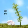 Albero di bambù