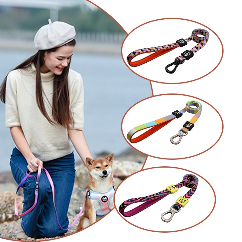 Dog Leash Set Sublimation Engraved Custom Logo Wholesale Luxury