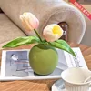 Deux tulipes roses dodues [sans bouteille]