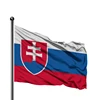 Slovakia Flag