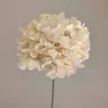 126 Pétales Hortensia-Champagne-58cm