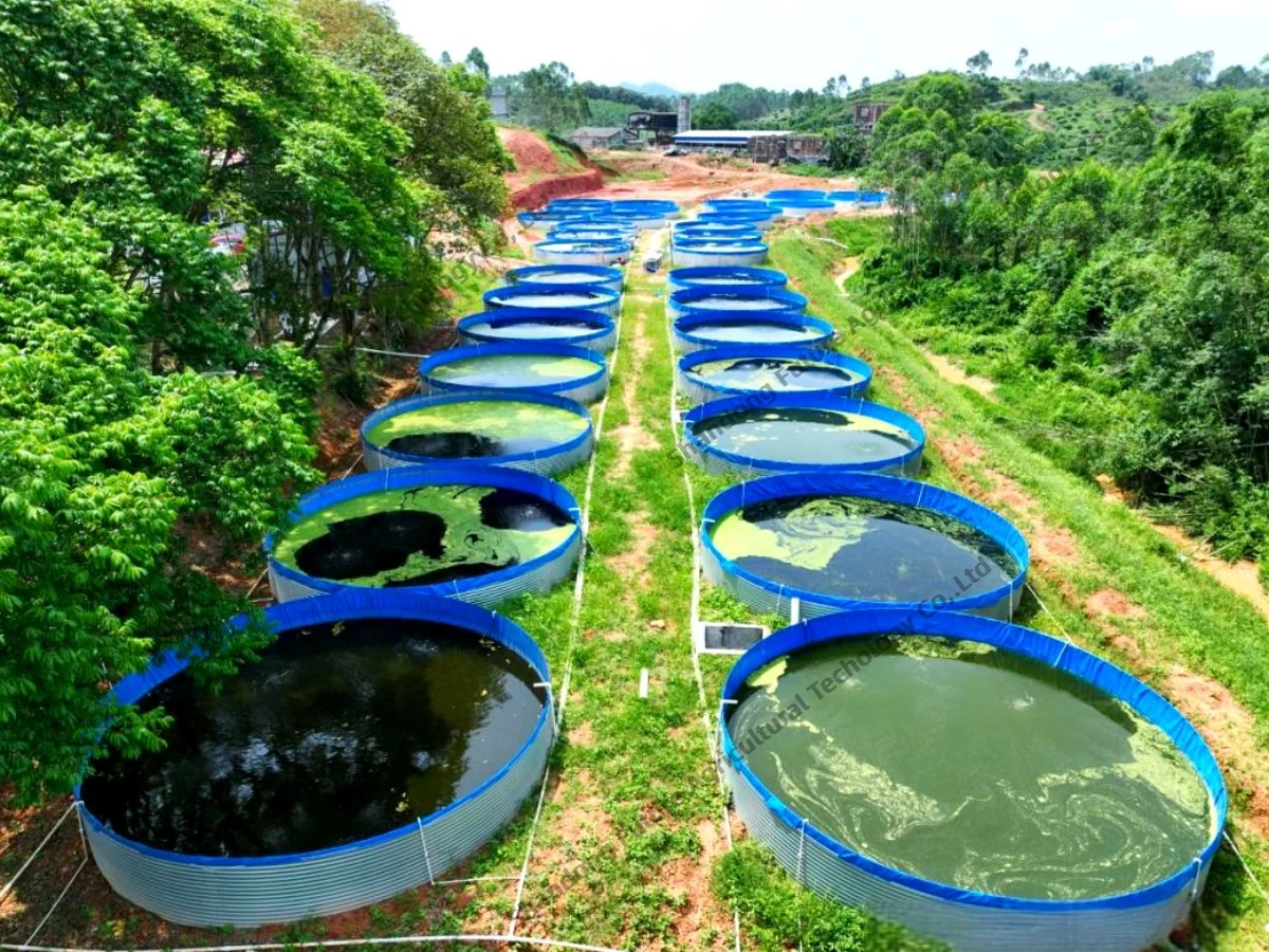 Extra Large Aquaculture Basins - High Capacity Fish Ponds