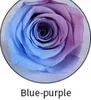 Blue-purple