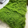 Green-09