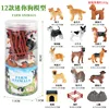 [OX-019E] Mini dog 12 barrels