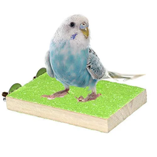 parrot play stand for sale