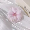 Pink cherry blossoms