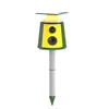 giallo