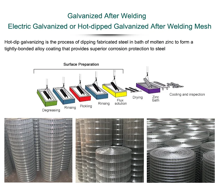 Stainless Steel Welded Wire Mesh Hot Dipped Electro Galvanized Welded