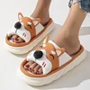 Shiba Inu arancione