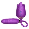 Viola