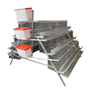 Wholesale automatic four tiered poultry cage and egg chicken breeding equipment