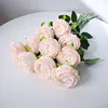 สีชมพูอ่อน