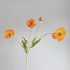 Arancione