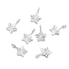 Five-pointed star steel color