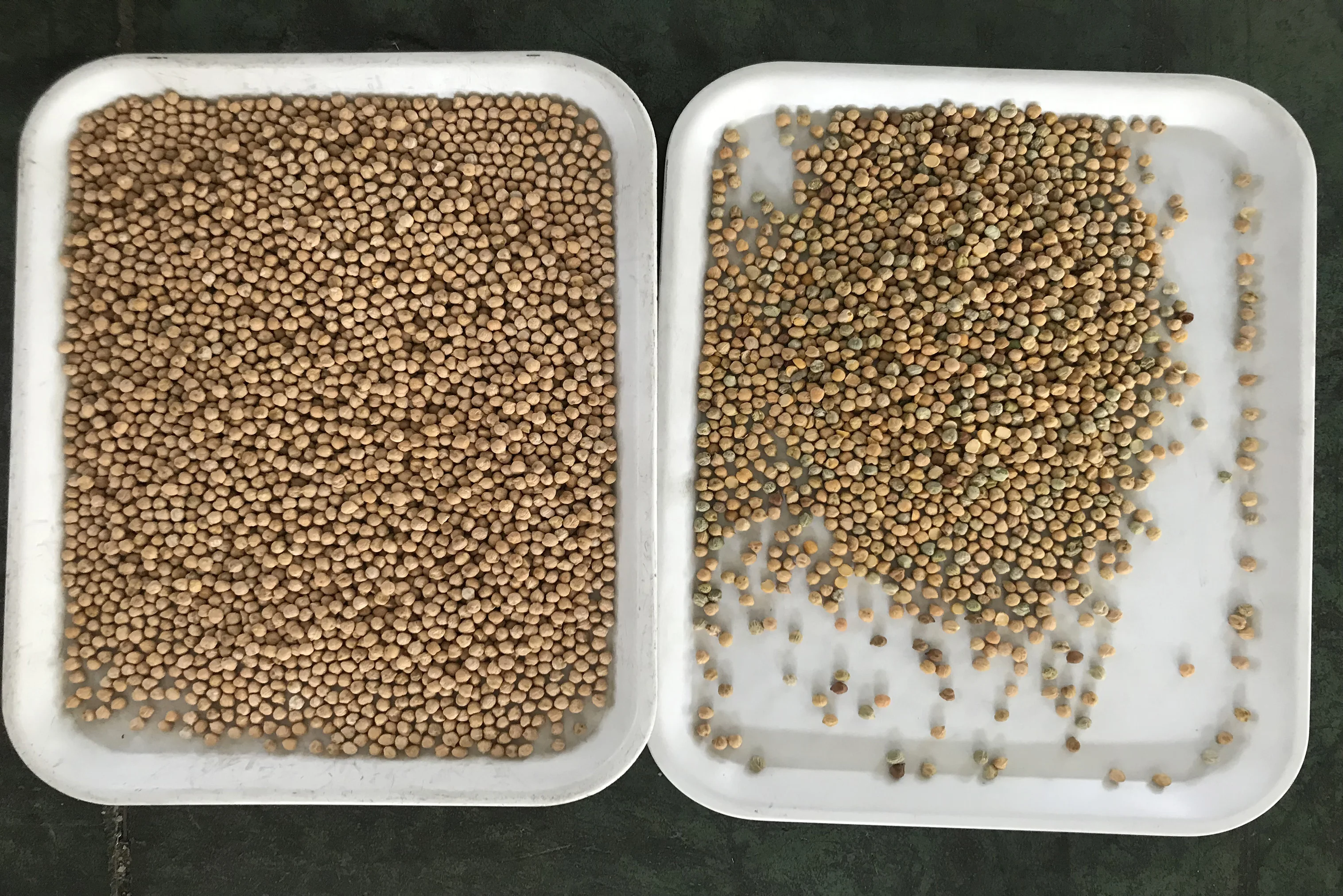 Optical Seeds Rice Color Sorter Machine 448 Home Use Optical Sorting Cleaner Efficient Milling Process 256 Core Motor for Farms