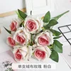 Rose blanc