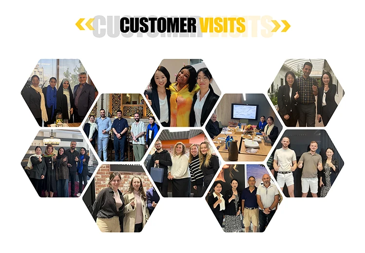 product zexi ionic household beauty electric hair dryer set with brushless motor hot air brush and diffuser nozzle hair styler tools-23