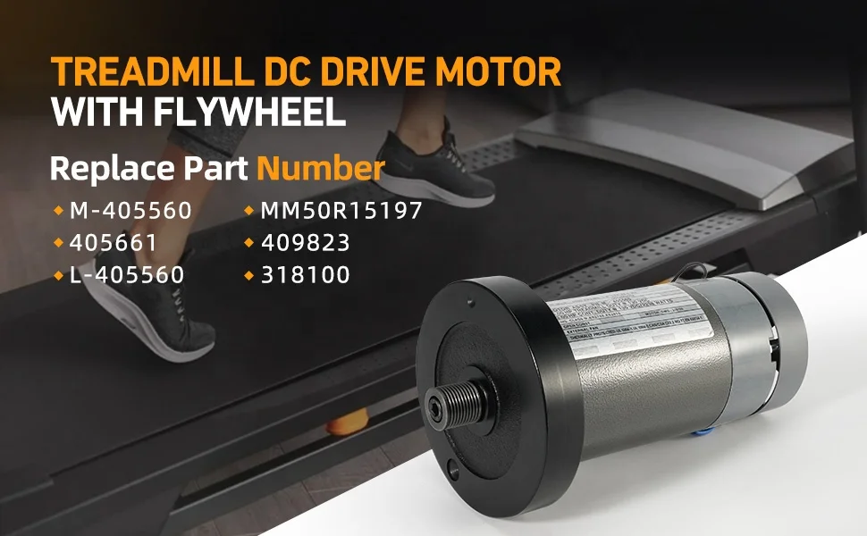 Treadmill DC Drive Motor High Efficiency for Gym Equipment