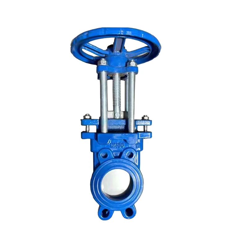 Manual ductile iron slurry valve