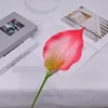 Subdesarrollo de la cabeza floral de la rama y el tallo No. 1