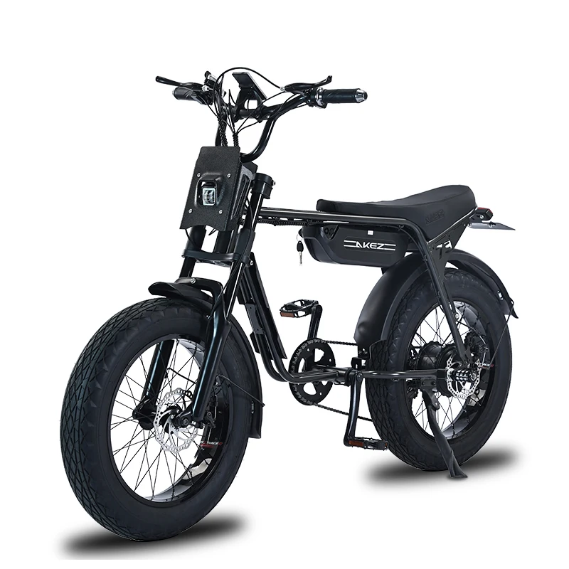 ZX 20*4.0 Inch Fat Tires Snow E-Bike 48V 1500W for 2 People