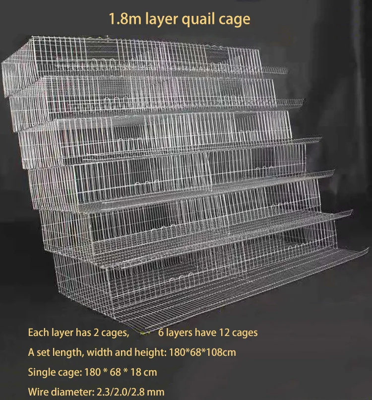Poultry Farming Galvanized Wire Mesh Quail Battery Chicken Coop Cage