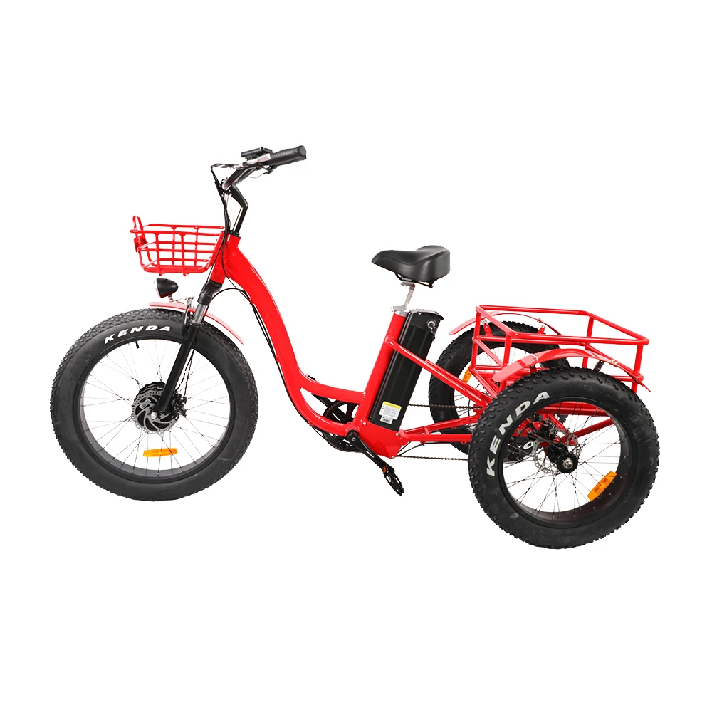 Ristar 2022 48V500W 700 Вт Электрический пассажирский трицикл для туда и обратно (RSD-708)
