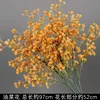 Branche de fleur de colza orange