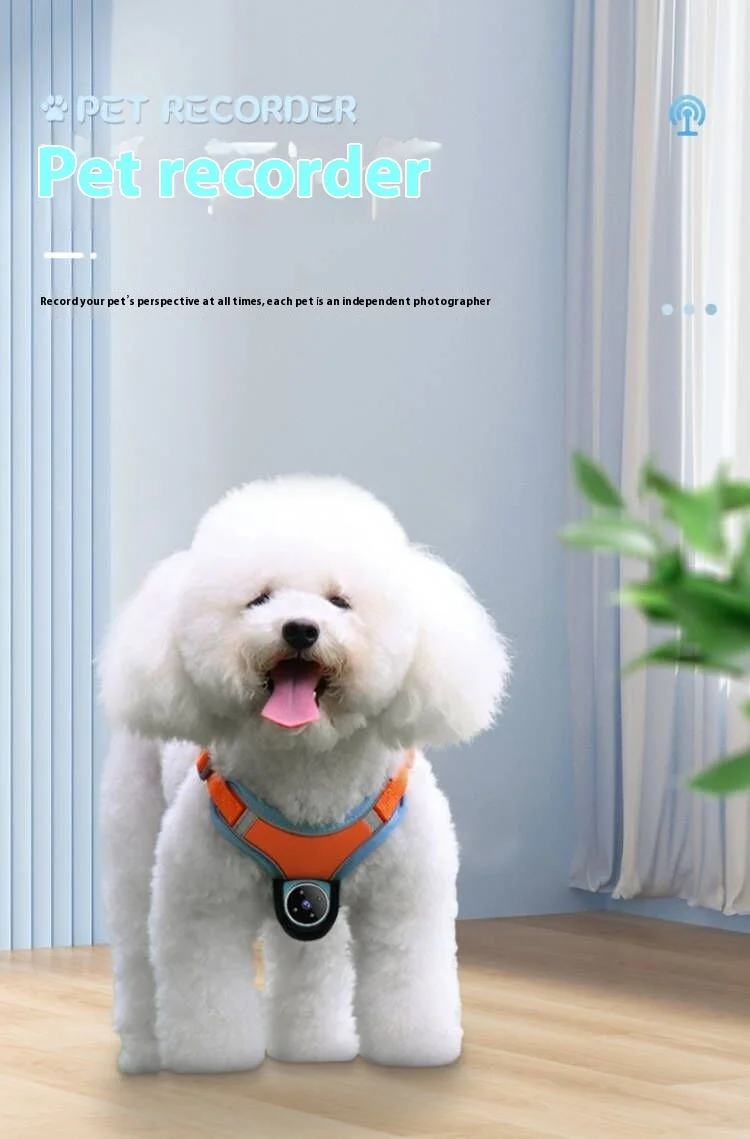 Collare Con Fotocamera Per Gatti E Cani - HD 1080P, Grandangolo 170°, Display LCD, Leggero