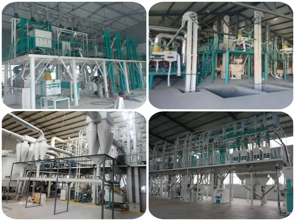Large Maize Processing Plant Maize Flour Production Line Maize Milling ...