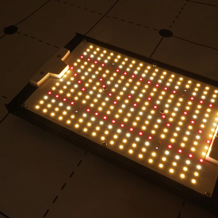 Full Spectrum Samsung Lm301h EVO 240W LED Grow Light for Greenhouse ...