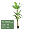 Banana tree, 240cm tall (comes with black base).