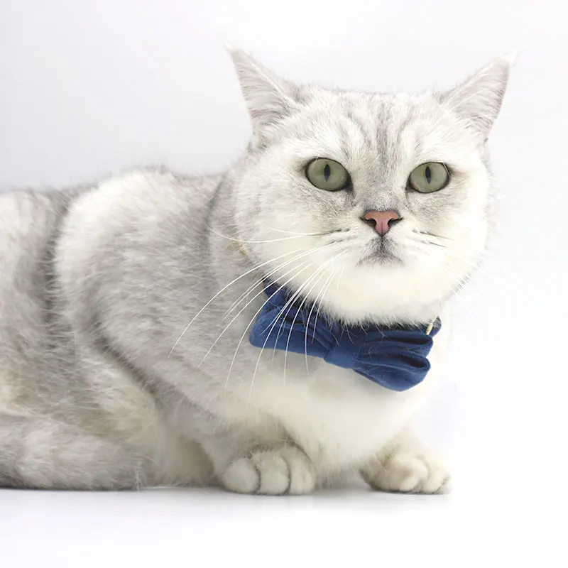 Heyri Pet Supplies Cute Design Soft Velvet Dark Blue Cat Collar with Bell  and Bow Tie Customised Cute Collar with Bell for Cat