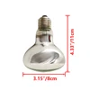 Parte superiore trasparente R80 75W