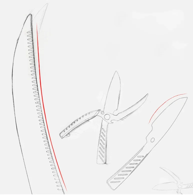 13.png