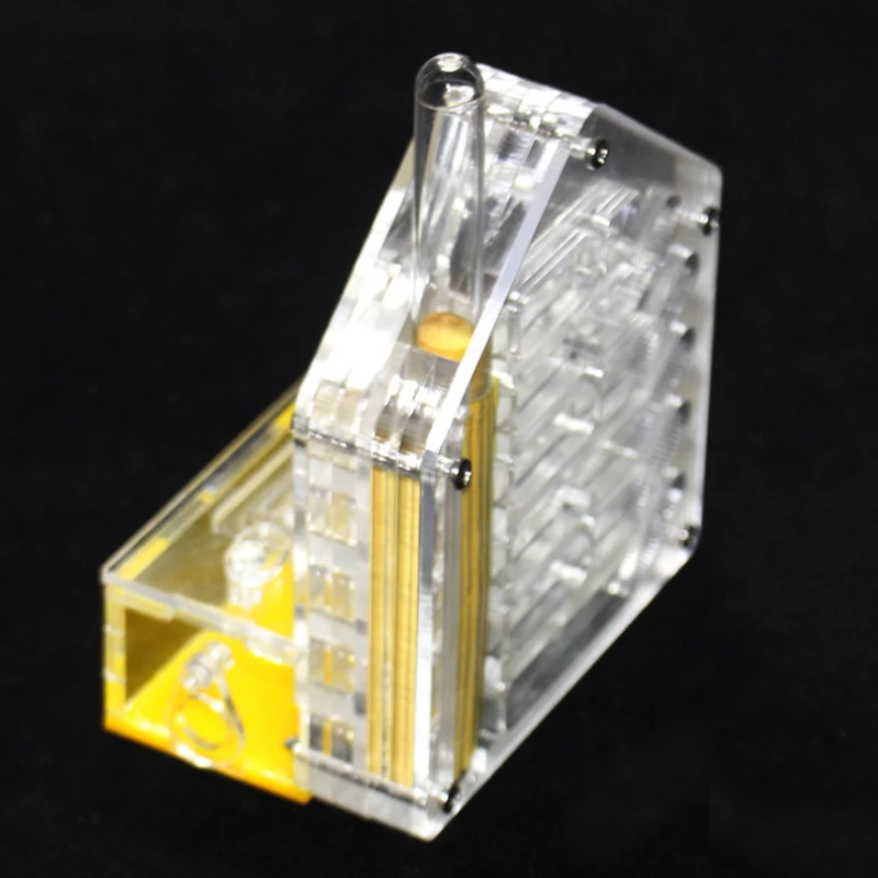 Factory Custom Portable square Transparent Magnetic Acrylic Ant Terrarium for Expo