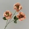 Fresh Rose