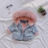 Stile vita: rosa