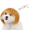 Peluca Bob Dorada con Flequillo para Perros