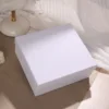 White gift box (without accessories)