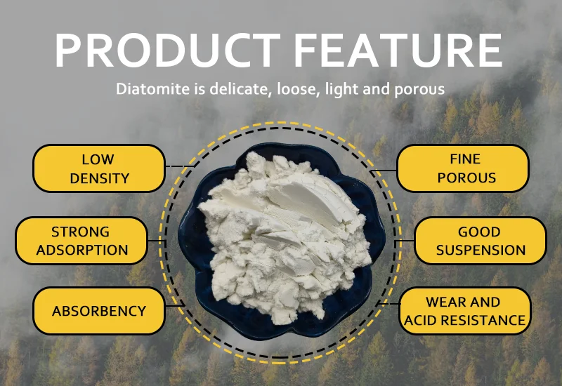 White Diatomite Powder Coating Diatomaceous Earth for Coatings Diatom Mud Art Wall Paint Grade Celite 545 supplier