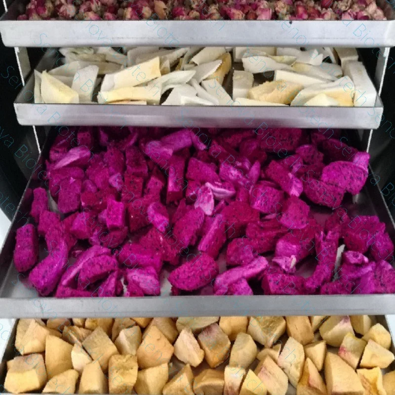 Малый пищевой фруктовый вакуумный сушильщик лиофилизатор Шанхай для домашнего использования